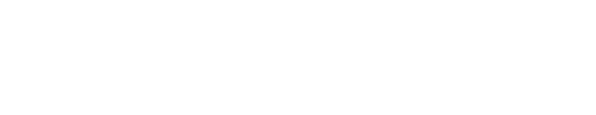 중고차, 이제 보이는게 다야