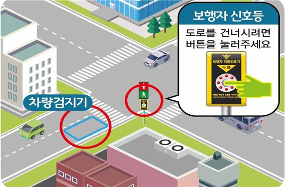 도로교통법 개정안, 우회전 신호등, 2024 정책, 도로교통법, 자동차 정책