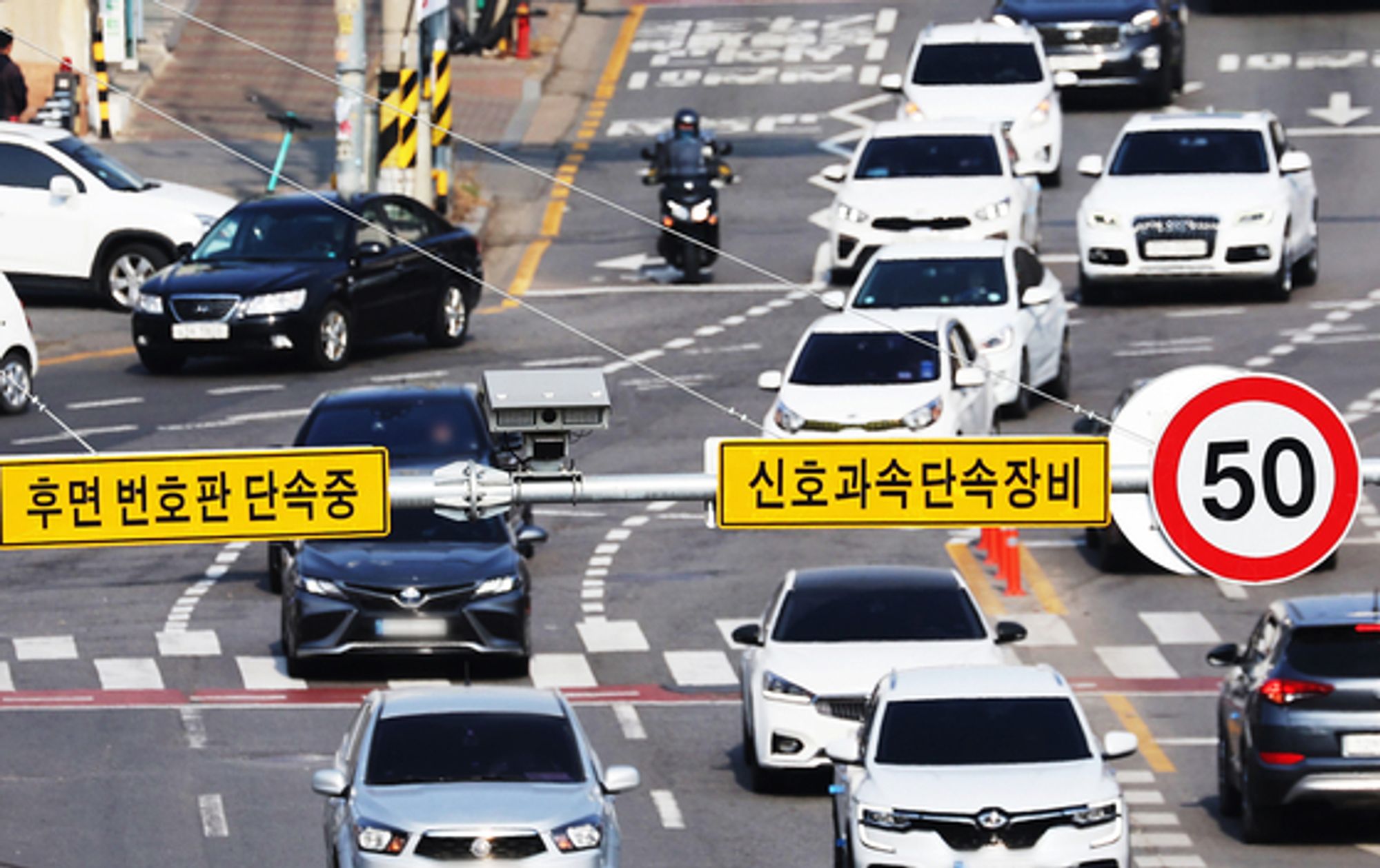 도로교통법 개정안, 우회전 신호등, 2024 정책, 도로교통법, 자동차 정책