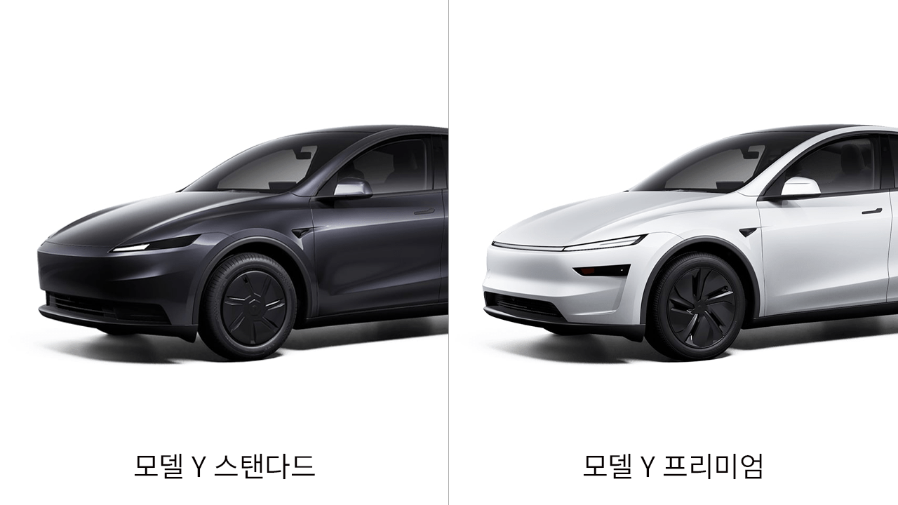 모델 Y 스탠다드, 모델 Y, 테슬라 모델 Y, 테슬라 모델 Y 스탠다드, 테슬라