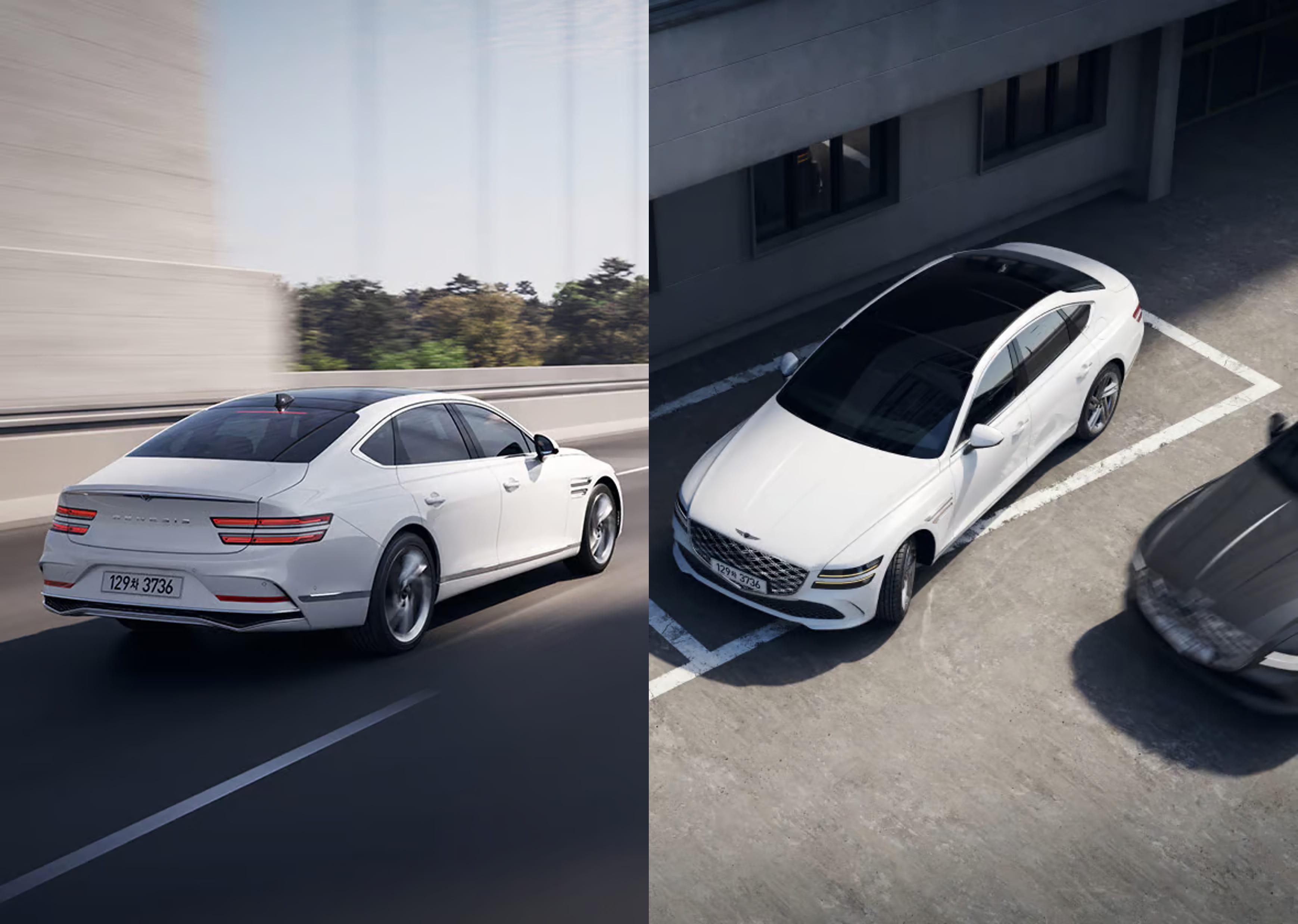 제네시스 G80 단점, 제네시스 G80 중고, G80 연비, G80 유지비, 2026 제네시스 G80