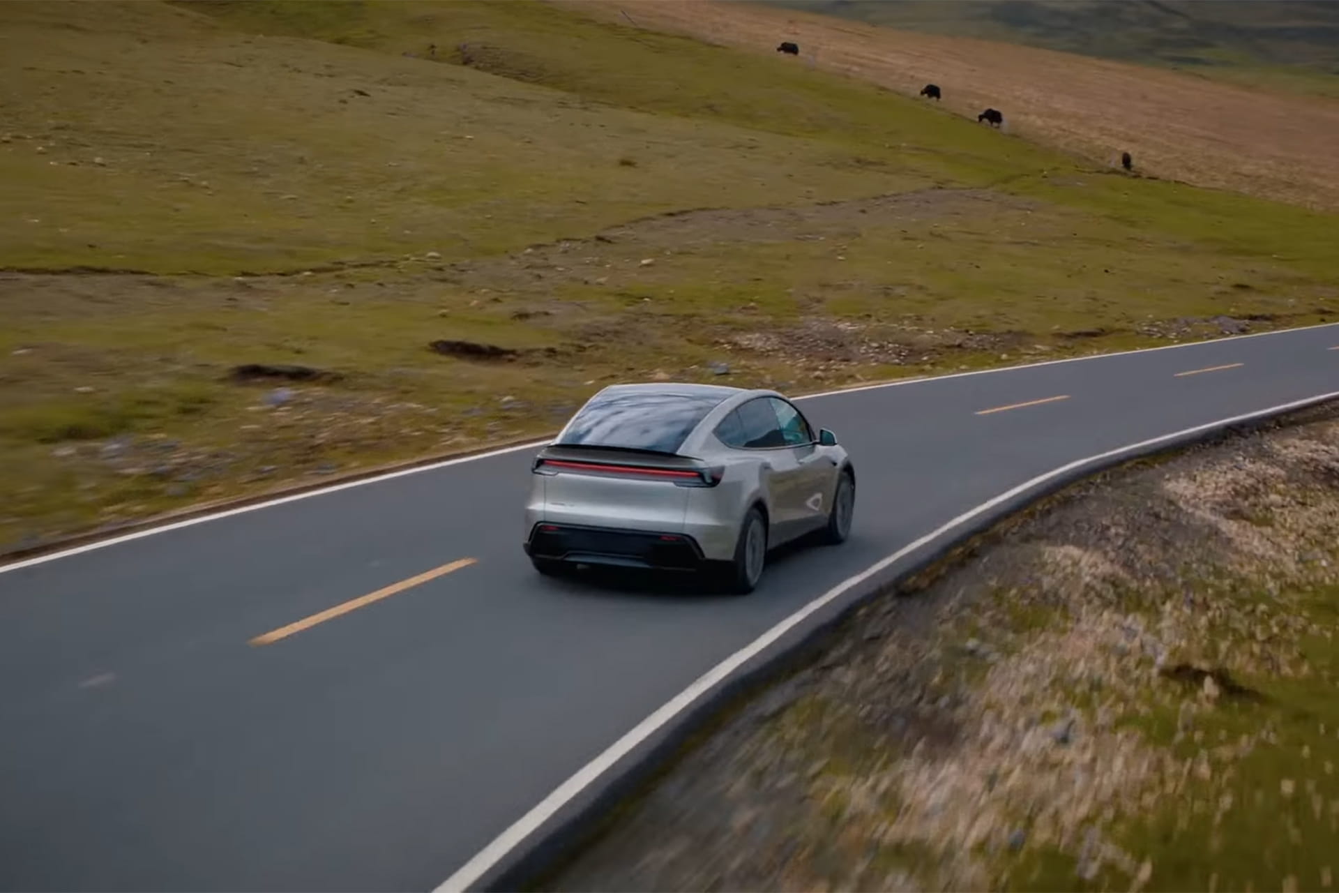 테슬라, 모델 Y L, 모델 Y, Model Y, 전기차